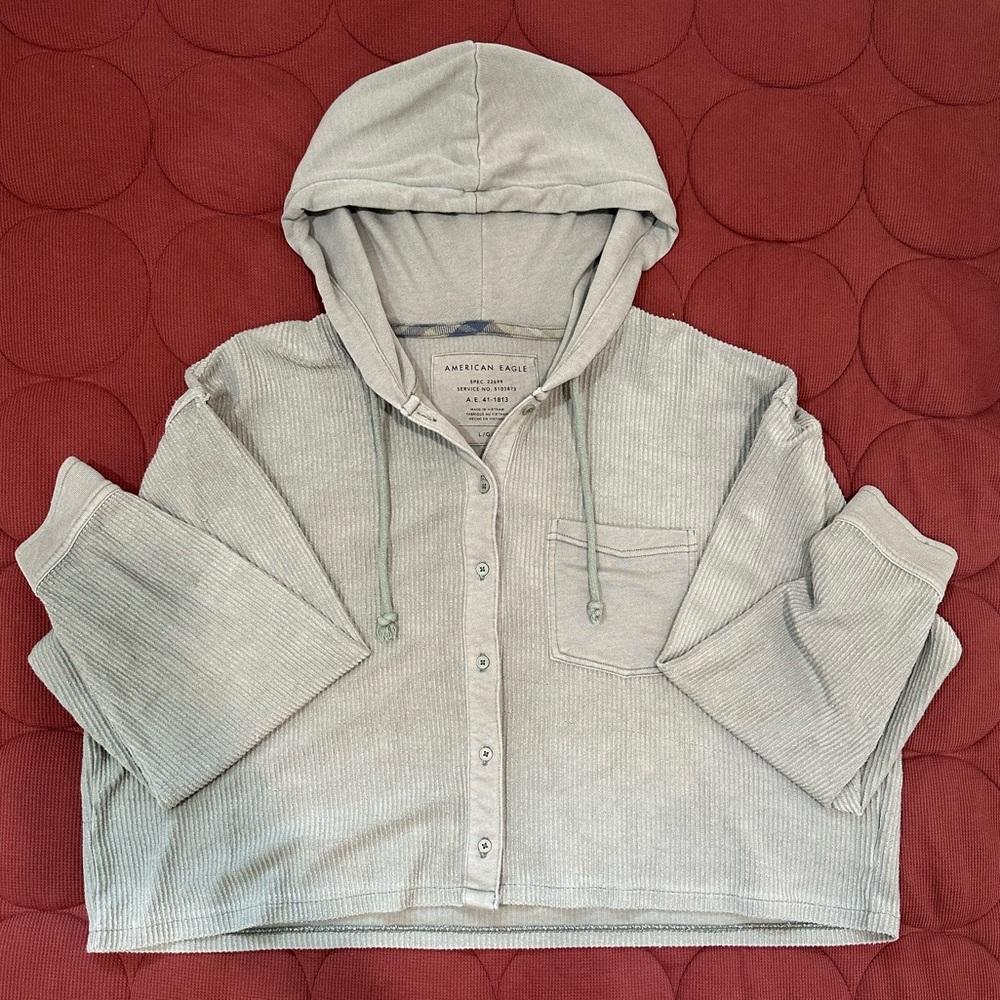 Cropped American Eagle hoodie